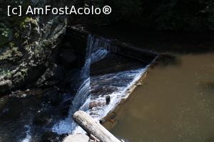 [P29] Eftimie Murgu, Morile de apă de la Rudăria, Moara Viloanea, iazul și barajul ei » foto by mprofeanu
 - 
<span class="allrVoted glyphicon glyphicon-heart hidden" id="av1181368"></span>
<a class="m-l-10 hidden" id="sv1181368" onclick="voting_Foto_DelVot(,1181368,15101)" role="button">șterge vot <span class="glyphicon glyphicon-remove"></span></a>
<a id="v91181368" class=" c-red"  onclick="voting_Foto_SetVot(1181368)" role="button"><span class="glyphicon glyphicon-heart-empty"></span> <b>LIKE</b> = Votează poza</a> <img class="hidden"  id="f1181368W9" src="/imagini/loader.gif" border="0" /><span class="AjErrMes hidden" id="e1181368ErM"></span>