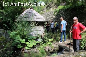 [P09] Eftimie Murgu, Morile de apă de la Rudăria, Moara B&acirc;țolea, spatele ei » foto by mprofeanu
 - 
<span class="allrVoted glyphicon glyphicon-heart hidden" id="av1181348"></span>
<a class="m-l-10 hidden" id="sv1181348" onclick="voting_Foto_DelVot(,1181348,15101)" role="button">șterge vot <span class="glyphicon glyphicon-remove"></span></a>
<a id="v91181348" class=" c-red"  onclick="voting_Foto_SetVot(1181348)" role="button"><span class="glyphicon glyphicon-heart-empty"></span> <b>LIKE</b> = Votează poza</a> <img class="hidden"  id="f1181348W9" src="/imagini/loader.gif" border="0" /><span class="AjErrMes hidden" id="e1181348ErM"></span>