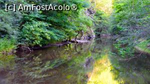 [P02]  -- <small>// FĂRĂ DESCRIERE</small> » foto by pepsi70ro
 - 
<span class="allrVoted glyphicon glyphicon-heart hidden" id="av1491284"></span>
<a class="m-l-10 hidden" id="sv1491284" onclick="voting_Foto_DelVot(,1491284,15101)" role="button">șterge vot <span class="glyphicon glyphicon-remove"></span></a>
<a id="v91491284" class=" c-red"  onclick="voting_Foto_SetVot(1491284)" role="button"><span class="glyphicon glyphicon-heart-empty"></span> <b>LIKE</b> = Votează poza</a> <img class="hidden"  id="f1491284W9" src="/imagini/loader.gif" border="0" /><span class="AjErrMes hidden" id="e1491284ErM"></span>