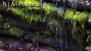 [P04]  -- <small>// FĂRĂ DESCRIERE</small> » foto by pepsi70ro
 - 
<span class="allrVoted glyphicon glyphicon-heart hidden" id="av1491286"></span>
<a class="m-l-10 hidden" id="sv1491286" onclick="voting_Foto_DelVot(,1491286,15101)" role="button">șterge vot <span class="glyphicon glyphicon-remove"></span></a>
<a id="v91491286" class=" c-red"  onclick="voting_Foto_SetVot(1491286)" role="button"><span class="glyphicon glyphicon-heart-empty"></span> <b>LIKE</b> = Votează poza</a> <img class="hidden"  id="f1491286W9" src="/imagini/loader.gif" border="0" /><span class="AjErrMes hidden" id="e1491286ErM"></span>