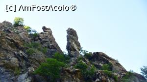 [P05]  -- <small>// FĂRĂ DESCRIERE</small> » foto by pepsi70ro
 - 
<span class="allrVoted glyphicon glyphicon-heart hidden" id="av1491287"></span>
<a class="m-l-10 hidden" id="sv1491287" onclick="voting_Foto_DelVot(,1491287,15101)" role="button">șterge vot <span class="glyphicon glyphicon-remove"></span></a>
<a id="v91491287" class=" c-red"  onclick="voting_Foto_SetVot(1491287)" role="button"><span class="glyphicon glyphicon-heart-empty"></span> <b>LIKE</b> = Votează poza</a> <img class="hidden"  id="f1491287W9" src="/imagini/loader.gif" border="0" /><span class="AjErrMes hidden" id="e1491287ErM"></span>