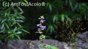 [P06]  -- <small>// FĂRĂ DESCRIERE</small> » foto by pepsi70ro
 - 
<span class="allrVoted glyphicon glyphicon-heart hidden" id="av1491288"></span>
<a class="m-l-10 hidden" id="sv1491288" onclick="voting_Foto_DelVot(,1491288,15101)" role="button">șterge vot <span class="glyphicon glyphicon-remove"></span></a>
<a id="v91491288" class=" c-red"  onclick="voting_Foto_SetVot(1491288)" role="button"><span class="glyphicon glyphicon-heart-empty"></span> <b>LIKE</b> = Votează poza</a> <img class="hidden"  id="f1491288W9" src="/imagini/loader.gif" border="0" /><span class="AjErrMes hidden" id="e1491288ErM"></span>