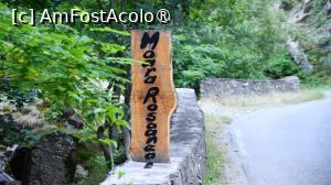 [P07]  -- <small>// FĂRĂ DESCRIERE</small> » foto by pepsi70ro
 - 
<span class="allrVoted glyphicon glyphicon-heart hidden" id="av1491289"></span>
<a class="m-l-10 hidden" id="sv1491289" onclick="voting_Foto_DelVot(,1491289,15101)" role="button">șterge vot <span class="glyphicon glyphicon-remove"></span></a>
<a id="v91491289" class=" c-red"  onclick="voting_Foto_SetVot(1491289)" role="button"><span class="glyphicon glyphicon-heart-empty"></span> <b>LIKE</b> = Votează poza</a> <img class="hidden"  id="f1491289W9" src="/imagini/loader.gif" border="0" /><span class="AjErrMes hidden" id="e1491289ErM"></span>