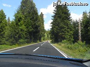 [P01] ne apropiem de Zlatibor » foto by jeni
 - 
<span class="allrVoted glyphicon glyphicon-heart hidden" id="av458388"></span>
<a class="m-l-10 hidden" id="sv458388" onclick="voting_Foto_DelVot(,458388,15157)" role="button">șterge vot <span class="glyphicon glyphicon-remove"></span></a>
<a id="v9458388" class=" c-red"  onclick="voting_Foto_SetVot(458388)" role="button"><span class="glyphicon glyphicon-heart-empty"></span> <b>LIKE</b> = Votează poza</a> <img class="hidden"  id="f458388W9" src="/imagini/loader.gif" border="0" /><span class="AjErrMes hidden" id="e458388ErM"></span>