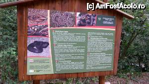[P101] Devin - traseul ecoturistic Struiliţa - Kaleto - Lîcata / panou informativ care prezintă șerpăria din zonă; ghici pe care l-am pozat eu pe cărare, mai devreme?  » foto by Dragoș_MD
 - 
<span class="allrVoted glyphicon glyphicon-heart hidden" id="av464836"></span>
<a class="m-l-10 hidden" id="sv464836" onclick="voting_Foto_DelVot(,464836,15256)" role="button">șterge vot <span class="glyphicon glyphicon-remove"></span></a>
<a id="v9464836" class=" c-red"  onclick="voting_Foto_SetVot(464836)" role="button"><span class="glyphicon glyphicon-heart-empty"></span> <b>LIKE</b> = Votează poza</a> <img class="hidden"  id="f464836W9" src="/imagini/loader.gif" border="0" /><span class="AjErrMes hidden" id="e464836ErM"></span>