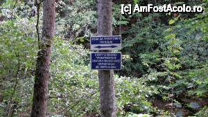 [P105] Devin - traseul ecoturistic Struiliţa - Kaleto - Lîcata / poteca spre Lîcata, zonă de pescuit » foto by Dragoș_MD
 - 
<span class="allrVoted glyphicon glyphicon-heart hidden" id="av464849"></span>
<a class="m-l-10 hidden" id="sv464849" onclick="voting_Foto_DelVot(,464849,15256)" role="button">șterge vot <span class="glyphicon glyphicon-remove"></span></a>
<a id="v9464849" class=" c-red"  onclick="voting_Foto_SetVot(464849)" role="button"><span class="glyphicon glyphicon-heart-empty"></span> <b>LIKE</b> = Votează poza</a> <img class="hidden"  id="f464849W9" src="/imagini/loader.gif" border="0" /><span class="AjErrMes hidden" id="e464849ErM"></span>