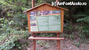 [P107] Devin - traseul ecoturistic Struiliţa - Kaleto - Lîcata / un alt panou informativ, de data aceasta despre flora din zonă » foto by Dragoș_MD
 - 
<span class="allrVoted glyphicon glyphicon-heart hidden" id="av464861"></span>
<a class="m-l-10 hidden" id="sv464861" onclick="voting_Foto_DelVot(,464861,15256)" role="button">șterge vot <span class="glyphicon glyphicon-remove"></span></a>
<a id="v9464861" class=" c-red"  onclick="voting_Foto_SetVot(464861)" role="button"><span class="glyphicon glyphicon-heart-empty"></span> <b>LIKE</b> = Votează poza</a> <img class="hidden"  id="f464861W9" src="/imagini/loader.gif" border="0" /><span class="AjErrMes hidden" id="e464861ErM"></span>