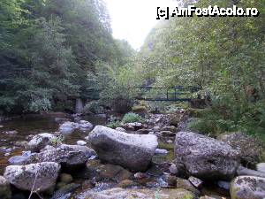 [P108] Devin - traseul ecoturistic Struiliţa - Kaleto - Lîcata / poteca spre Lîcata » foto by Dragoș_MD
 - 
<span class="allrVoted glyphicon glyphicon-heart hidden" id="av464862"></span>
<a class="m-l-10 hidden" id="sv464862" onclick="voting_Foto_DelVot(,464862,15256)" role="button">șterge vot <span class="glyphicon glyphicon-remove"></span></a>
<a id="v9464862" class=" c-red"  onclick="voting_Foto_SetVot(464862)" role="button"><span class="glyphicon glyphicon-heart-empty"></span> <b>LIKE</b> = Votează poza</a> <img class="hidden"  id="f464862W9" src="/imagini/loader.gif" border="0" /><span class="AjErrMes hidden" id="e464862ErM"></span>