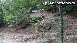 [P131] Devin - traseul ecoturistic Struiliţa - Kaleto - Lîcata / poteca spre Lîcata; aici se face bifurcația spre fortăreața Kaleto » foto by Dragoș_MD
 - 
<span class="allrVoted glyphicon glyphicon-heart hidden" id="av464906"></span>
<a class="m-l-10 hidden" id="sv464906" onclick="voting_Foto_DelVot(,464906,15256)" role="button">șterge vot <span class="glyphicon glyphicon-remove"></span></a>
<a id="v9464906" class=" c-red"  onclick="voting_Foto_SetVot(464906)" role="button"><span class="glyphicon glyphicon-heart-empty"></span> <b>LIKE</b> = Votează poza</a> <img class="hidden"  id="f464906W9" src="/imagini/loader.gif" border="0" /><span class="AjErrMes hidden" id="e464906ErM"></span>