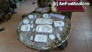 [P192] Defileul Trigrad, peştera Gâtul diavolului, sătucul Trigrad şi Muzeul urşilor / Muzeul urşilor » foto by Dragoș_MD
 - 
<span class="allrVoted glyphicon glyphicon-heart hidden" id="av465693"></span>
<a class="m-l-10 hidden" id="sv465693" onclick="voting_Foto_DelVot(,465693,15256)" role="button">șterge vot <span class="glyphicon glyphicon-remove"></span></a>
<a id="v9465693" class=" c-red"  onclick="voting_Foto_SetVot(465693)" role="button"><span class="glyphicon glyphicon-heart-empty"></span> <b>LIKE</b> = Votează poza</a> <img class="hidden"  id="f465693W9" src="/imagini/loader.gif" border="0" /><span class="AjErrMes hidden" id="e465693ErM"></span>