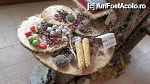 [P196] Defileul Trigrad, peştera Gâtul diavolului, sătucul Trigrad şi Muzeul urşilor / Muzeul urşilor - mostre din hrana lor de peste an » foto by Dragoș_MD
 - 
<span class="allrVoted glyphicon glyphicon-heart hidden" id="av465697"></span>
<a class="m-l-10 hidden" id="sv465697" onclick="voting_Foto_DelVot(,465697,15256)" role="button">șterge vot <span class="glyphicon glyphicon-remove"></span></a>
<a id="v9465697" class=" c-red"  onclick="voting_Foto_SetVot(465697)" role="button"><span class="glyphicon glyphicon-heart-empty"></span> <b>LIKE</b> = Votează poza</a> <img class="hidden"  id="f465697W9" src="/imagini/loader.gif" border="0" /><span class="AjErrMes hidden" id="e465697ErM"></span>