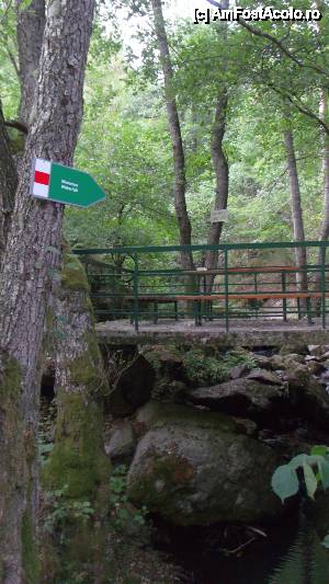 [P85] Devin - traseul ecoturistic Struiliţa - Kaleto - Lîcata / poteca spre cascada Samovodsko prâskalo » foto by Dragoș_MD
 - 
<span class="allrVoted glyphicon glyphicon-heart hidden" id="av464771"></span>
<a class="m-l-10 hidden" id="sv464771" onclick="voting_Foto_DelVot(,464771,15256)" role="button">șterge vot <span class="glyphicon glyphicon-remove"></span></a>
<a id="v9464771" class=" c-red"  onclick="voting_Foto_SetVot(464771)" role="button"><span class="glyphicon glyphicon-heart-empty"></span> <b>LIKE</b> = Votează poza</a> <img class="hidden"  id="f464771W9" src="/imagini/loader.gif" border="0" /><span class="AjErrMes hidden" id="e464771ErM"></span>