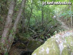[P86] Devin - traseul ecoturistic Struiliţa - Kaleto - Lîcata / poteca spre cascada Samovodsko prâskalo » foto by Dragoș_MD
 - 
<span class="allrVoted glyphicon glyphicon-heart hidden" id="av464789"></span>
<a class="m-l-10 hidden" id="sv464789" onclick="voting_Foto_DelVot(,464789,15256)" role="button">șterge vot <span class="glyphicon glyphicon-remove"></span></a>
<a id="v9464789" class=" c-red"  onclick="voting_Foto_SetVot(464789)" role="button"><span class="glyphicon glyphicon-heart-empty"></span> <b>LIKE</b> = Votează poza</a> <img class="hidden"  id="f464789W9" src="/imagini/loader.gif" border="0" /><span class="AjErrMes hidden" id="e464789ErM"></span>