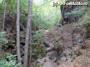 [P89] Devin - traseul ecoturistic Struiliţa - Kaleto - Lîcata / poteca spre cascada Samovodsko prâskalo » foto by Dragoș_MD
 - 
<span class="allrVoted glyphicon glyphicon-heart hidden" id="av464807"></span>
<a class="m-l-10 hidden" id="sv464807" onclick="voting_Foto_DelVot(,464807,15256)" role="button">șterge vot <span class="glyphicon glyphicon-remove"></span></a>
<a id="v9464807" class=" c-red"  onclick="voting_Foto_SetVot(464807)" role="button"><span class="glyphicon glyphicon-heart-empty"></span> <b>LIKE</b> = Votează poza</a> <img class="hidden"  id="f464807W9" src="/imagini/loader.gif" border="0" /><span class="AjErrMes hidden" id="e464807ErM"></span>