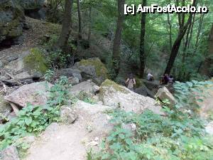 [P90] Devin - traseul ecoturistic Struiliţa - Kaleto - Lîcata / poteca spre cascada Samovodsko prâskalo, chiar la baza cascadei » foto by Dragoș_MD
 - 
<span class="allrVoted glyphicon glyphicon-heart hidden" id="av464809"></span>
<a class="m-l-10 hidden" id="sv464809" onclick="voting_Foto_DelVot(,464809,15256)" role="button">șterge vot <span class="glyphicon glyphicon-remove"></span></a>
<a id="v9464809" class=" c-red"  onclick="voting_Foto_SetVot(464809)" role="button"><span class="glyphicon glyphicon-heart-empty"></span> <b>LIKE</b> = Votează poza</a> <img class="hidden"  id="f464809W9" src="/imagini/loader.gif" border="0" /><span class="AjErrMes hidden" id="e464809ErM"></span>