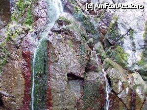 [P94] Devin - traseul ecoturistic Struiliţa - Kaleto - Lîcata / cascada Samovodsko prâskalo » foto by Dragoș_MD
 - 
<span class="allrVoted glyphicon glyphicon-heart hidden" id="av464821"></span>
<a class="m-l-10 hidden" id="sv464821" onclick="voting_Foto_DelVot(,464821,15256)" role="button">șterge vot <span class="glyphicon glyphicon-remove"></span></a>
<a id="v9464821" class=" c-red"  onclick="voting_Foto_SetVot(464821)" role="button"><span class="glyphicon glyphicon-heart-empty"></span> <b>LIKE</b> = Votează poza</a> <img class="hidden"  id="f464821W9" src="/imagini/loader.gif" border="0" /><span class="AjErrMes hidden" id="e464821ErM"></span>