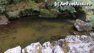 [P96] Devin - traseul ecoturistic Struiliţa - Kaleto - Lîcata / un ochi de apă unde s-ar fi putut face și baie » foto by Dragoș_MD
 - 
<span class="allrVoted glyphicon glyphicon-heart hidden" id="av464827"></span>
<a class="m-l-10 hidden" id="sv464827" onclick="voting_Foto_DelVot(,464827,15256)" role="button">șterge vot <span class="glyphicon glyphicon-remove"></span></a>
<a id="v9464827" class=" c-red"  onclick="voting_Foto_SetVot(464827)" role="button"><span class="glyphicon glyphicon-heart-empty"></span> <b>LIKE</b> = Votează poza</a> <img class="hidden"  id="f464827W9" src="/imagini/loader.gif" border="0" /><span class="AjErrMes hidden" id="e464827ErM"></span>