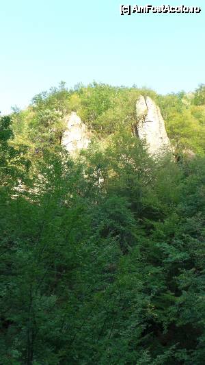 [P99] Devin - traseul ecoturistic Struiliţa - Kaleto - Lîcata / peisaje montane » foto by Dragoș_MD
 - 
<span class="allrVoted glyphicon glyphicon-heart hidden" id="av464832"></span>
<a class="m-l-10 hidden" id="sv464832" onclick="voting_Foto_DelVot(,464832,15256)" role="button">șterge vot <span class="glyphicon glyphicon-remove"></span></a>
<a id="v9464832" class=" c-red"  onclick="voting_Foto_SetVot(464832)" role="button"><span class="glyphicon glyphicon-heart-empty"></span> <b>LIKE</b> = Votează poza</a> <img class="hidden"  id="f464832W9" src="/imagini/loader.gif" border="0" /><span class="AjErrMes hidden" id="e464832ErM"></span>