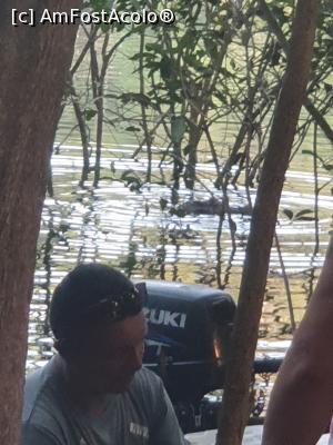 [P28] crocodilul John ne supravegheaza atent » foto by robert
 - 
<span class="allrVoted glyphicon glyphicon-heart hidden" id="av1130341"></span>
<a class="m-l-10 hidden" id="sv1130341" onclick="voting_Foto_DelVot(,1130341,15276)" role="button">șterge vot <span class="glyphicon glyphicon-remove"></span></a>
<a id="v91130341" class=" c-red"  onclick="voting_Foto_SetVot(1130341)" role="button"><span class="glyphicon glyphicon-heart-empty"></span> <b>LIKE</b> = Votează poza</a> <img class="hidden"  id="f1130341W9" src="/imagini/loader.gif" border="0" /><span class="AjErrMes hidden" id="e1130341ErM"></span>