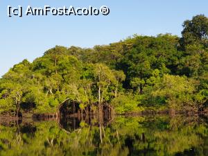 [P31] tablou din junglă » foto by robert
 - 
<span class="allrVoted glyphicon glyphicon-heart hidden" id="av1130344"></span>
<a class="m-l-10 hidden" id="sv1130344" onclick="voting_Foto_DelVot(,1130344,15276)" role="button">șterge vot <span class="glyphicon glyphicon-remove"></span></a>
<a id="v91130344" class=" c-red"  onclick="voting_Foto_SetVot(1130344)" role="button"><span class="glyphicon glyphicon-heart-empty"></span> <b>LIKE</b> = Votează poza</a> <img class="hidden"  id="f1130344W9" src="/imagini/loader.gif" border="0" /><span class="AjErrMes hidden" id="e1130344ErM"></span>