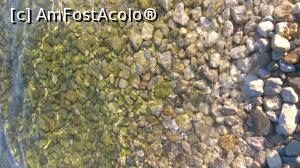 [P01] Pietre in apa - Episkopos » foto by DinuP
 - 
<span class="allrVoted glyphicon glyphicon-heart hidden" id="av826406"></span>
<a class="m-l-10 hidden" id="sv826406" onclick="voting_Foto_DelVot(,826406,15288)" role="button">șterge vot <span class="glyphicon glyphicon-remove"></span></a>
<a id="v9826406" class=" c-red"  onclick="voting_Foto_SetVot(826406)" role="button"><span class="glyphicon glyphicon-heart-empty"></span> <b>LIKE</b> = Votează poza</a> <img class="hidden"  id="f826406W9" src="/imagini/loader.gif" border="0" /><span class="AjErrMes hidden" id="e826406ErM"></span>