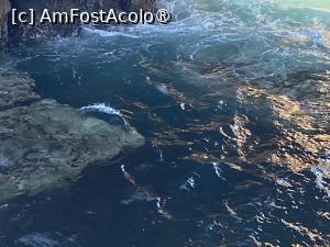 [P15] Boca do Inferno - un spectacol fascinant » foto by nicole33
 - 
<span class="allrVoted glyphicon glyphicon-heart hidden" id="av1502903"></span>
<a class="m-l-10 hidden" id="sv1502903" onclick="voting_Foto_DelVot(,1502903,15361)" role="button">șterge vot <span class="glyphicon glyphicon-remove"></span></a>
<a id="v91502903" class=" c-red"  onclick="voting_Foto_SetVot(1502903)" role="button"><span class="glyphicon glyphicon-heart-empty"></span> <b>LIKE</b> = Votează poza</a> <img class="hidden"  id="f1502903W9" src="/imagini/loader.gif" border="0" /><span class="AjErrMes hidden" id="e1502903ErM"></span>