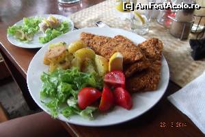 [P27] Peste henk argentinian la terasa Izvora » foto by aricel
 - 
<span class="allrVoted glyphicon glyphicon-heart hidden" id="av556677"></span>
<a class="m-l-10 hidden" id="sv556677" onclick="voting_Foto_DelVot(,556677,15382)" role="button">șterge vot <span class="glyphicon glyphicon-remove"></span></a>
<a id="v9556677" class=" c-red"  onclick="voting_Foto_SetVot(556677)" role="button"><span class="glyphicon glyphicon-heart-empty"></span> <b>LIKE</b> = Votează poza</a> <img class="hidden"  id="f556677W9" src="/imagini/loader.gif" border="0" /><span class="AjErrMes hidden" id="e556677ErM"></span>