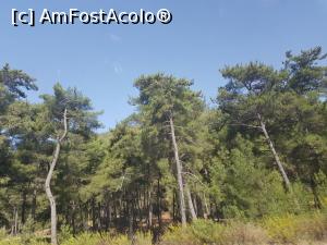 [P14] Trei săptăm&acirc;ni de hoinărit prin Turcia &icirc;n 2020 - drumul spre Bodrum » foto by nicole33
 - 
<span class="allrVoted glyphicon glyphicon-heart hidden" id="av1202328"></span>
<a class="m-l-10 hidden" id="sv1202328" onclick="voting_Foto_DelVot(,1202328,15385)" role="button">șterge vot <span class="glyphicon glyphicon-remove"></span></a>
<a id="v91202328" class=" c-red"  onclick="voting_Foto_SetVot(1202328)" role="button"><span class="glyphicon glyphicon-heart-empty"></span> <b>LIKE</b> = Votează poza</a> <img class="hidden"  id="f1202328W9" src="/imagini/loader.gif" border="0" /><span class="AjErrMes hidden" id="e1202328ErM"></span>