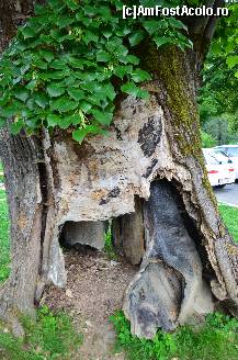 [P04] Castelul Predjama, teiul sub care legenda spune că este înmormântat baronul răzvrătit » foto by unq
 - 
<span class="allrVoted glyphicon glyphicon-heart hidden" id="av467784"></span>
<a class="m-l-10 hidden" id="sv467784" onclick="voting_Foto_DelVot(,467784,15400)" role="button">șterge vot <span class="glyphicon glyphicon-remove"></span></a>
<a id="v9467784" class=" c-red"  onclick="voting_Foto_SetVot(467784)" role="button"><span class="glyphicon glyphicon-heart-empty"></span> <b>LIKE</b> = Votează poza</a> <img class="hidden"  id="f467784W9" src="/imagini/loader.gif" border="0" /><span class="AjErrMes hidden" id="e467784ErM"></span>