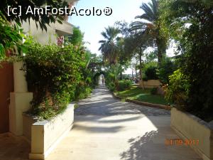 [P15] alee spre plaja » foto by nrs †
 - 
<span class="allrVoted glyphicon glyphicon-heart hidden" id="av909271"></span>
<a class="m-l-10 hidden" id="sv909271" onclick="voting_Foto_DelVot(,909271,15414)" role="button">șterge vot <span class="glyphicon glyphicon-remove"></span></a>
<a id="v9909271" class=" c-red"  onclick="voting_Foto_SetVot(909271)" role="button"><span class="glyphicon glyphicon-heart-empty"></span> <b>LIKE</b> = Votează poza</a> <img class="hidden"  id="f909271W9" src="/imagini/loader.gif" border="0" /><span class="AjErrMes hidden" id="e909271ErM"></span>