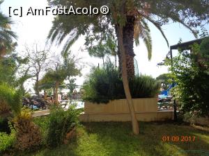 [P18] prin curte!  » foto by nrs †
 - 
<span class="allrVoted glyphicon glyphicon-heart hidden" id="av909274"></span>
<a class="m-l-10 hidden" id="sv909274" onclick="voting_Foto_DelVot(,909274,15414)" role="button">șterge vot <span class="glyphicon glyphicon-remove"></span></a>
<a id="v9909274" class=" c-red"  onclick="voting_Foto_SetVot(909274)" role="button"><span class="glyphicon glyphicon-heart-empty"></span> <b>LIKE</b> = Votează poza</a> <img class="hidden"  id="f909274W9" src="/imagini/loader.gif" border="0" /><span class="AjErrMes hidden" id="e909274ErM"></span>