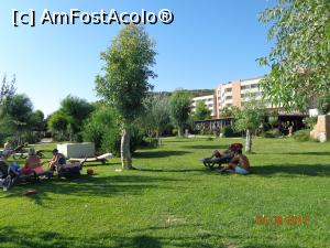 [P19] la plaja pe iarba » foto by nrs †
 - 
<span class="allrVoted glyphicon glyphicon-heart hidden" id="av909275"></span>
<a class="m-l-10 hidden" id="sv909275" onclick="voting_Foto_DelVot(,909275,15414)" role="button">șterge vot <span class="glyphicon glyphicon-remove"></span></a>
<a id="v9909275" class=" c-red"  onclick="voting_Foto_SetVot(909275)" role="button"><span class="glyphicon glyphicon-heart-empty"></span> <b>LIKE</b> = Votează poza</a> <img class="hidden"  id="f909275W9" src="/imagini/loader.gif" border="0" /><span class="AjErrMes hidden" id="e909275ErM"></span>