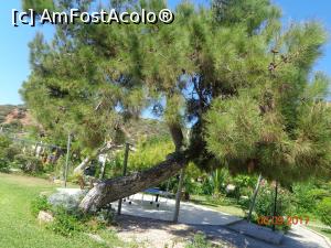 [P24]  -- <small>// FĂRĂ DESCRIERE</small> » foto by nrs †
 - 
<span class="allrVoted glyphicon glyphicon-heart hidden" id="av909280"></span>
<a class="m-l-10 hidden" id="sv909280" onclick="voting_Foto_DelVot(,909280,15414)" role="button">șterge vot <span class="glyphicon glyphicon-remove"></span></a>
<a id="v9909280" class=" c-red"  onclick="voting_Foto_SetVot(909280)" role="button"><span class="glyphicon glyphicon-heart-empty"></span> <b>LIKE</b> = Votează poza</a> <img class="hidden"  id="f909280W9" src="/imagini/loader.gif" border="0" /><span class="AjErrMes hidden" id="e909280ErM"></span>