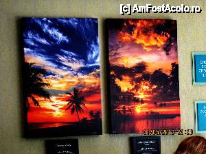 [P03] Foto cum arata paradisul gasiti chiar la receptie. 
Acest paradis chiar exista si asa arata la apus.  » foto by drumet
 - 
<span class="allrVoted glyphicon glyphicon-heart hidden" id="av484704"></span>
<a class="m-l-10 hidden" id="sv484704" onclick="voting_Foto_DelVot(,484704,15416)" role="button">șterge vot <span class="glyphicon glyphicon-remove"></span></a>
<a id="v9484704" class=" c-red"  onclick="voting_Foto_SetVot(484704)" role="button"><span class="glyphicon glyphicon-heart-empty"></span> <b>LIKE</b> = Votează poza</a> <img class="hidden"  id="f484704W9" src="/imagini/loader.gif" border="0" /><span class="AjErrMes hidden" id="e484704ErM"></span>
