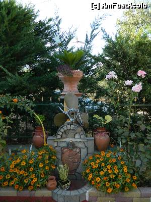 [P07] prin gradina...  » foto by danadima
 - 
<span class="allrVoted glyphicon glyphicon-heart hidden" id="av469773"></span>
<a class="m-l-10 hidden" id="sv469773" onclick="voting_Foto_DelVot(,469773,15451)" role="button">șterge vot <span class="glyphicon glyphicon-remove"></span></a>
<a id="v9469773" class=" c-red"  onclick="voting_Foto_SetVot(469773)" role="button"><span class="glyphicon glyphicon-heart-empty"></span> <b>LIKE</b> = Votează poza</a> <img class="hidden"  id="f469773W9" src="/imagini/loader.gif" border="0" /><span class="AjErrMes hidden" id="e469773ErM"></span>