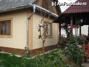 [P07] parul cu oale (obicei pentru fete nemaritate)  » foto by george1863*
 - 
<span class="allrVoted glyphicon glyphicon-heart hidden" id="av473670"></span>
<a class="m-l-10 hidden" id="sv473670" onclick="voting_Foto_DelVot(,473670,15555)" role="button">șterge vot <span class="glyphicon glyphicon-remove"></span></a>
<a id="v9473670" class=" c-red"  onclick="voting_Foto_SetVot(473670)" role="button"><span class="glyphicon glyphicon-heart-empty"></span> <b>LIKE</b> = Votează poza</a> <img class="hidden"  id="f473670W9" src="/imagini/loader.gif" border="0" /><span class="AjErrMes hidden" id="e473670ErM"></span>