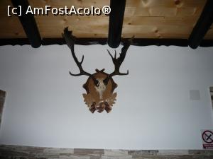 [P07] Un trofeu deosebit, tot din sala de servit masa.  » foto by HFbraila
 - 
<span class="allrVoted glyphicon glyphicon-heart hidden" id="av789051"></span>
<a class="m-l-10 hidden" id="sv789051" onclick="voting_Foto_DelVot(,789051,15609)" role="button">șterge vot <span class="glyphicon glyphicon-remove"></span></a>
<a id="v9789051" class=" c-red"  onclick="voting_Foto_SetVot(789051)" role="button"><span class="glyphicon glyphicon-heart-empty"></span> <b>LIKE</b> = Votează poza</a> <img class="hidden"  id="f789051W9" src="/imagini/loader.gif" border="0" /><span class="AjErrMes hidden" id="e789051ErM"></span>