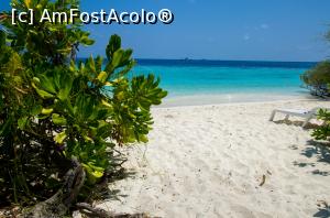 [P01]  -- <small>// FĂRĂ DESCRIERE</small> » foto by msgen
 - 
<span class="allrVoted glyphicon glyphicon-heart hidden" id="av852743"></span>
<a class="m-l-10 hidden" id="sv852743" onclick="voting_Foto_DelVot(,852743,15613)" role="button">șterge vot <span class="glyphicon glyphicon-remove"></span></a>
<a id="v9852743" class=" c-red"  onclick="voting_Foto_SetVot(852743)" role="button"><span class="glyphicon glyphicon-heart-empty"></span> <b>LIKE</b> = Votează poza</a> <img class="hidden"  id="f852743W9" src="/imagini/loader.gif" border="0" /><span class="AjErrMes hidden" id="e852743ErM"></span>