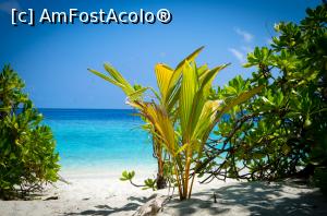 [P02]  -- <small>// FĂRĂ DESCRIERE</small> » foto by msgen
 - 
<span class="allrVoted glyphicon glyphicon-heart hidden" id="av852744"></span>
<a class="m-l-10 hidden" id="sv852744" onclick="voting_Foto_DelVot(,852744,15613)" role="button">șterge vot <span class="glyphicon glyphicon-remove"></span></a>
<a id="v9852744" class=" c-red"  onclick="voting_Foto_SetVot(852744)" role="button"><span class="glyphicon glyphicon-heart-empty"></span> <b>LIKE</b> = Votează poza</a> <img class="hidden"  id="f852744W9" src="/imagini/loader.gif" border="0" /><span class="AjErrMes hidden" id="e852744ErM"></span>