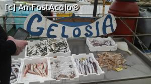 [P04] taraba unui pescar Porto Vecchio - Monopoli » foto by k-lator
 - 
<span class="allrVoted glyphicon glyphicon-heart hidden" id="av1214946"></span>
<a class="m-l-10 hidden" id="sv1214946" onclick="voting_Foto_DelVot(,1214946,15648)" role="button">șterge vot <span class="glyphicon glyphicon-remove"></span></a>
<a id="v91214946" class=" c-red"  onclick="voting_Foto_SetVot(1214946)" role="button"><span class="glyphicon glyphicon-heart-empty"></span> <b>LIKE</b> = Votează poza</a> <img class="hidden"  id="f1214946W9" src="/imagini/loader.gif" border="0" /><span class="AjErrMes hidden" id="e1214946ErM"></span>