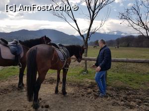 [P03]  -- <small>// FĂRĂ DESCRIERE</small> » foto by Alina Roxana
 - 
<span class="allrVoted glyphicon glyphicon-heart hidden" id="av1064571"></span>
<a class="m-l-10 hidden" id="sv1064571" onclick="voting_Foto_DelVot(,1064571,15673)" role="button">șterge vot <span class="glyphicon glyphicon-remove"></span></a>
<a id="v91064571" class=" c-red"  onclick="voting_Foto_SetVot(1064571)" role="button"><span class="glyphicon glyphicon-heart-empty"></span> <b>LIKE</b> = Votează poza</a> <img class="hidden"  id="f1064571W9" src="/imagini/loader.gif" border="0" /><span class="AjErrMes hidden" id="e1064571ErM"></span>