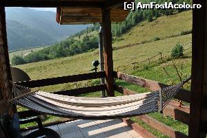 [P01] pe balcon » foto by anema*
 - 
<span class="allrVoted glyphicon glyphicon-heart hidden" id="av526211"></span>
<a class="m-l-10 hidden" id="sv526211" onclick="voting_Foto_DelVot(,526211,15709)" role="button">șterge vot <span class="glyphicon glyphicon-remove"></span></a>
<a id="v9526211" class=" c-red"  onclick="voting_Foto_SetVot(526211)" role="button"><span class="glyphicon glyphicon-heart-empty"></span> <b>LIKE</b> = Votează poza</a> <img class="hidden"  id="f526211W9" src="/imagini/loader.gif" border="0" /><span class="AjErrMes hidden" id="e526211ErM"></span>