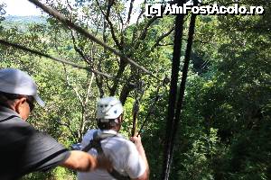 [P12] cu putin 'ajutor' iei viteza si mai mare » foto by Pami*
 - 
<span class="allrVoted glyphicon glyphicon-heart hidden" id="av487412"></span>
<a class="m-l-10 hidden" id="sv487412" onclick="voting_Foto_DelVot(,487412,15814)" role="button">șterge vot <span class="glyphicon glyphicon-remove"></span></a>
<a id="v9487412" class=" c-red"  onclick="voting_Foto_SetVot(487412)" role="button"><span class="glyphicon glyphicon-heart-empty"></span> <b>LIKE</b> = Votează poza</a> <img class="hidden"  id="f487412W9" src="/imagini/loader.gif" border="0" /><span class="AjErrMes hidden" id="e487412ErM"></span>