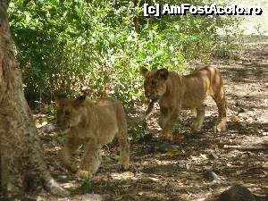 [P16]  -- <small>// FĂRĂ DESCRIERE</small> » foto by danadineata
 - 
<span class="allrVoted glyphicon glyphicon-heart hidden" id="av485995"></span>
<a class="m-l-10 hidden" id="sv485995" onclick="voting_Foto_DelVot(,485995,15822)" role="button">șterge vot <span class="glyphicon glyphicon-remove"></span></a>
<a id="v9485995" class=" c-red"  onclick="voting_Foto_SetVot(485995)" role="button"><span class="glyphicon glyphicon-heart-empty"></span> <b>LIKE</b> = Votează poza</a> <img class="hidden"  id="f485995W9" src="/imagini/loader.gif" border="0" /><span class="AjErrMes hidden" id="e485995ErM"></span>