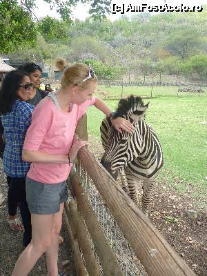 [P19]  -- <small>// FĂRĂ DESCRIERE</small> » foto by danadineata
 - 
<span class="allrVoted glyphicon glyphicon-heart hidden" id="av485998"></span>
<a class="m-l-10 hidden" id="sv485998" onclick="voting_Foto_DelVot(,485998,15822)" role="button">șterge vot <span class="glyphicon glyphicon-remove"></span></a>
<a id="v9485998" class=" c-red"  onclick="voting_Foto_SetVot(485998)" role="button"><span class="glyphicon glyphicon-heart-empty"></span> <b>LIKE</b> = Votează poza</a> <img class="hidden"  id="f485998W9" src="/imagini/loader.gif" border="0" /><span class="AjErrMes hidden" id="e485998ErM"></span>