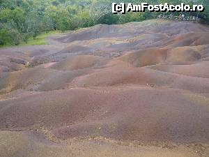 [P29]  -- <small>// FĂRĂ DESCRIERE</small> » foto by danadineata
 - 
<span class="allrVoted glyphicon glyphicon-heart hidden" id="av486010"></span>
<a class="m-l-10 hidden" id="sv486010" onclick="voting_Foto_DelVot(,486010,15822)" role="button">șterge vot <span class="glyphicon glyphicon-remove"></span></a>
<a id="v9486010" class=" c-red"  onclick="voting_Foto_SetVot(486010)" role="button"><span class="glyphicon glyphicon-heart-empty"></span> <b>LIKE</b> = Votează poza</a> <img class="hidden"  id="f486010W9" src="/imagini/loader.gif" border="0" /><span class="AjErrMes hidden" id="e486010ErM"></span>