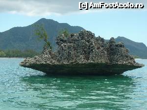 [P05]  -- <small>// FĂRĂ DESCRIERE</small> » foto by danadineata
 - 
<span class="allrVoted glyphicon glyphicon-heart hidden" id="av485980"></span>
<a class="m-l-10 hidden" id="sv485980" onclick="voting_Foto_DelVot(,485980,15822)" role="button">șterge vot <span class="glyphicon glyphicon-remove"></span></a>
<a id="v9485980" class=" c-red"  onclick="voting_Foto_SetVot(485980)" role="button"><span class="glyphicon glyphicon-heart-empty"></span> <b>LIKE</b> = Votează poza</a> <img class="hidden"  id="f485980W9" src="/imagini/loader.gif" border="0" /><span class="AjErrMes hidden" id="e485980ErM"></span>