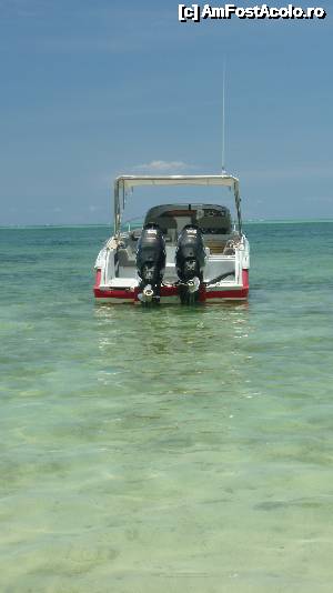 [P07]  -- <small>// FĂRĂ DESCRIERE</small> » foto by danadineata
 - 
<span class="allrVoted glyphicon glyphicon-heart hidden" id="av485983"></span>
<a class="m-l-10 hidden" id="sv485983" onclick="voting_Foto_DelVot(,485983,15822)" role="button">șterge vot <span class="glyphicon glyphicon-remove"></span></a>
<a id="v9485983" class=" c-red"  onclick="voting_Foto_SetVot(485983)" role="button"><span class="glyphicon glyphicon-heart-empty"></span> <b>LIKE</b> = Votează poza</a> <img class="hidden"  id="f485983W9" src="/imagini/loader.gif" border="0" /><span class="AjErrMes hidden" id="e485983ErM"></span>