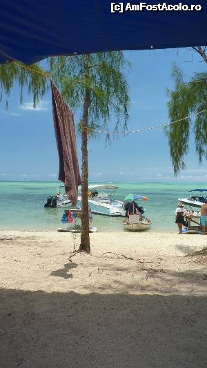 [P08]  -- <small>// FĂRĂ DESCRIERE</small> » foto by danadineata
 - 
<span class="allrVoted glyphicon glyphicon-heart hidden" id="av485984"></span>
<a class="m-l-10 hidden" id="sv485984" onclick="voting_Foto_DelVot(,485984,15822)" role="button">șterge vot <span class="glyphicon glyphicon-remove"></span></a>
<a id="v9485984" class=" c-red"  onclick="voting_Foto_SetVot(485984)" role="button"><span class="glyphicon glyphicon-heart-empty"></span> <b>LIKE</b> = Votează poza</a> <img class="hidden"  id="f485984W9" src="/imagini/loader.gif" border="0" /><span class="AjErrMes hidden" id="e485984ErM"></span>