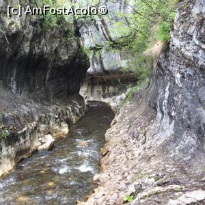 [P17] Cheile Banitei - sunt minunate si mi-ar fi placut sa fie vara sa merg prin apa » foto by mishu
 - 
<span class="allrVoted glyphicon glyphicon-heart hidden" id="av854054"></span>
<a class="m-l-10 hidden" id="sv854054" onclick="voting_Foto_DelVot(,854054,15838)" role="button">șterge vot <span class="glyphicon glyphicon-remove"></span></a>
<a id="v9854054" class=" c-red"  onclick="voting_Foto_SetVot(854054)" role="button"><span class="glyphicon glyphicon-heart-empty"></span> <b>LIKE</b> = Votează poza</a> <img class="hidden"  id="f854054W9" src="/imagini/loader.gif" border="0" /><span class="AjErrMes hidden" id="e854054ErM"></span>